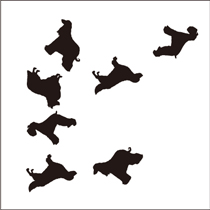 脳トレ問題 同じイラスト